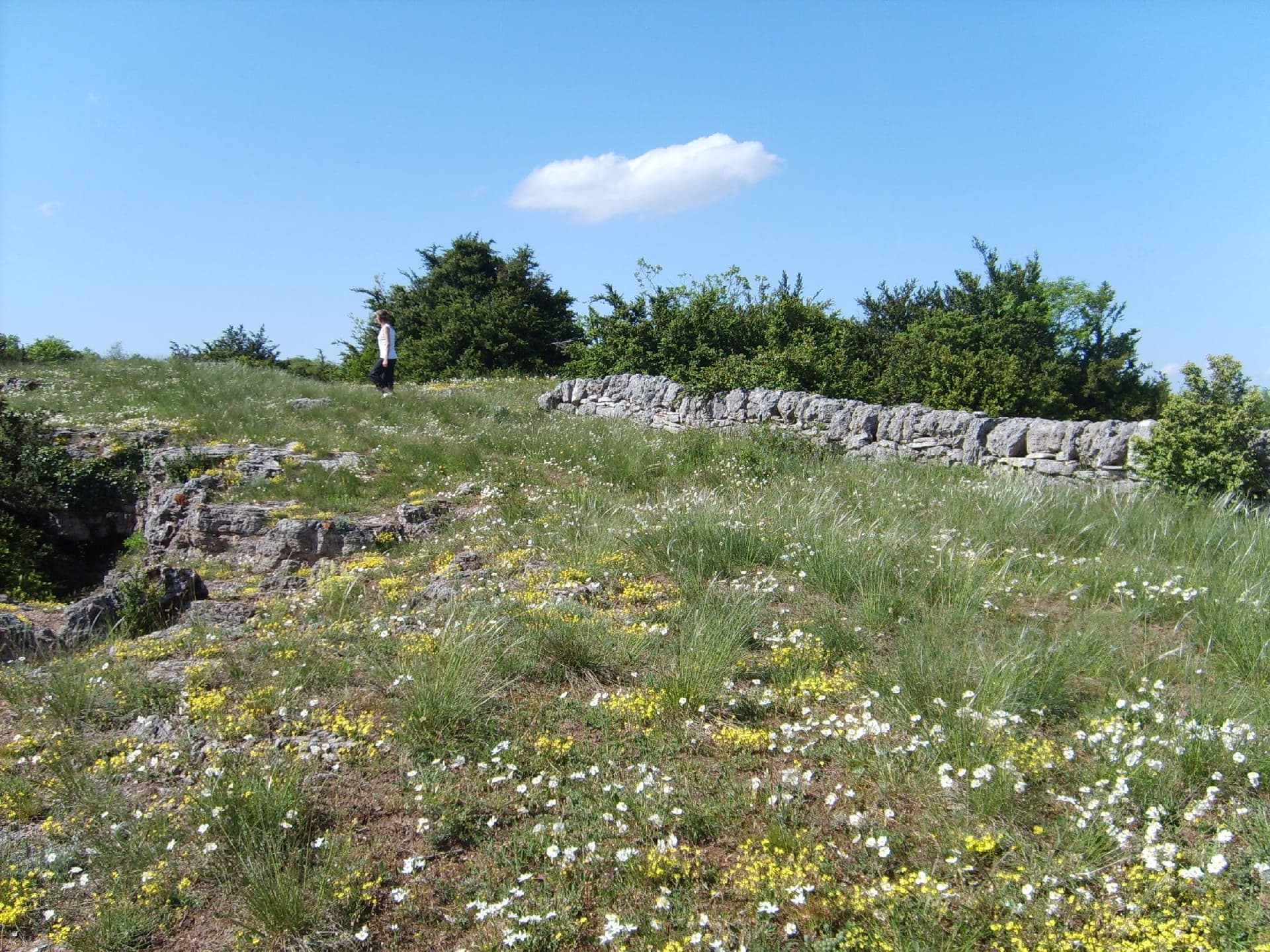Rando – Le plateau du Guilhaumard