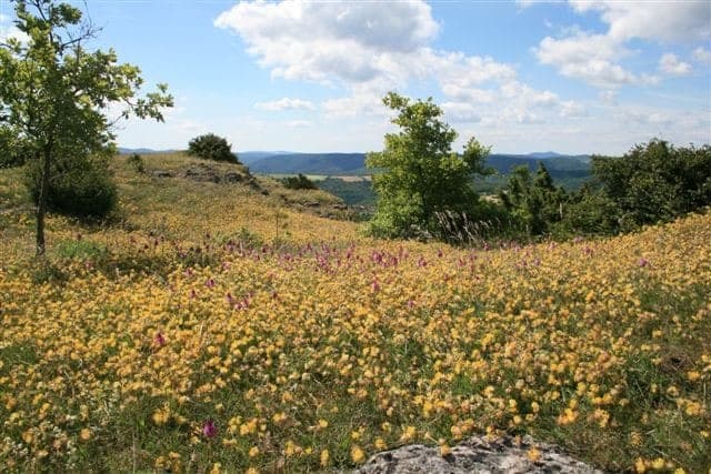 Rando – Le plateau du Guilhaumard