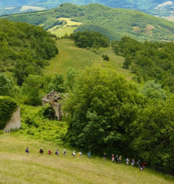 Randonnée avec guide