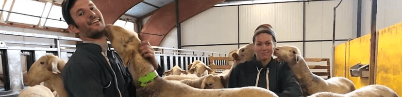 Visite à la ferme